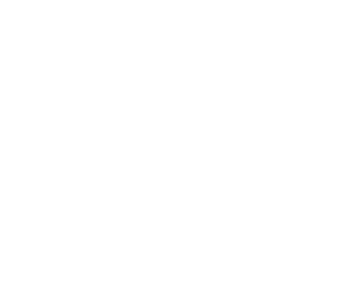 Passion Capital Logo